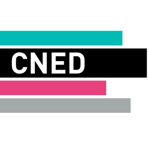 Logo CNED - Client d'APERTO LIBRO